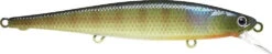 Jerk Bait - Lucky Craft - Flash Pointer 100 -Fishing Gear Sales BE Gill 1000x197 0b7881f5 4d40 4222 957f 3bbe69ae1fa9