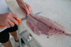 Fillet Knife - Dexter - UC133-8WS1 8 INCH UR-CUT® MOLDABLE HANDLE FILLET KNIFE WITH SHEATH -Fishing Gear Sales DSC07098 45879