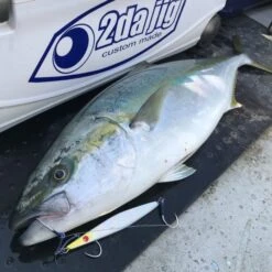 Jigging Hook - Vanfook - Jigen Grippy JH-40 -Fishing Gear Sales JH 40 f1 640x640 1