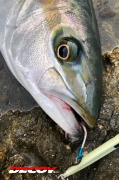 Jigging Single Hook - Decoy - Pike AS-03 -Fishing Gear Sales as 03 06fish