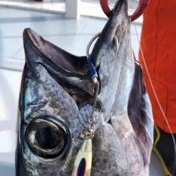 Assist Hook - Vanfook - GS-70 JIGEN 4 BRAIDS ASSIST GRIPPY -Fishing Gear Sales assist hook vanfook gs 70 jigen 4 braids assist grippy 156791