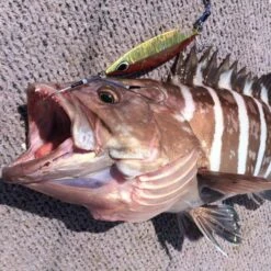 Assist Hook - Vanfook - JLT-46 JIGEN LONG TWIN -Fishing Gear Sales assist hook vanfook jlt 46 jigen long twin 406550