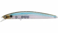 Floating Minnow - Daiwa - Saltiga SP Minnow 15F -Fishing Gear Sales floating daiwa saltiga sp minnow 15f 390542
