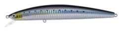 Floating Minnow - Daiwa - Saltiga SP Minnow 15F -Fishing Gear Sales floating daiwa saltiga sp minnow 15f 504987