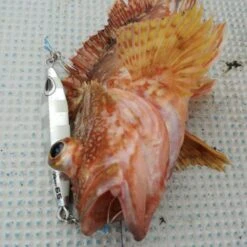 Hook - Vanfook - SW-04 SWIFTER SUPER LIGHT JIGGING -Fishing Gear Sales hook vanfook sw 04 swifter super light jigging 636054