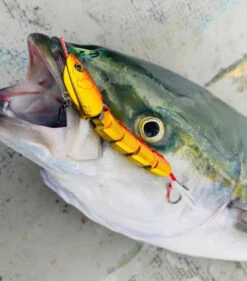 Jointed Swimming Jig - On The Blue - Super Light Jigggy Jr 60g -Fishing Gear Sales img 7256