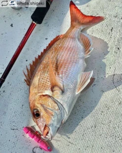 Jointed Swimming Jig - On The Blue - Super Light Jigggy Jr 60g -Fishing Gear Sales img 7268