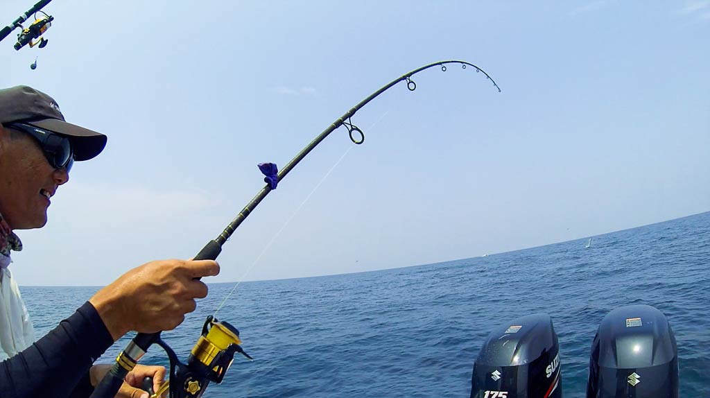 Fishing Gear Sales -Fishing Gear Sales penn spinfisher v 6500 legion rod sailfish