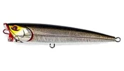 Popper Lure - Daiwa -Saltiga Dorado Popper 140mm Floating