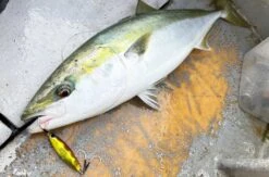 Jig - Hot's - R2 Jig -Fishing Gear Sales r2 jig foot 01 6b604ff7 285f 4b99 ad68 46ece5402180