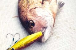 Jig - Hot's - R2 Jig -Fishing Gear Sales r2 jig foot 02