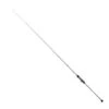 Slow Pitch Jigging Rod - Tailwalk - Slow Bump SSD -Fishing Gear Sales s l500 2