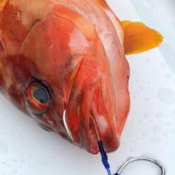 Shrink Tube - Vanfook - B-ST Blue Shrink Tube 6 Shrink Tube - Vanfook - B-ST Blue Shrink Tube -Fishing Gear Sales shrink tube vanfook b st blue shrink tube 346794