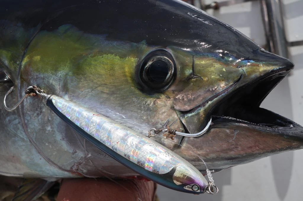 Stickbait - CB ONE - Ryan 180mm 3 Stickbait - CB ONE - Ryan 180mm