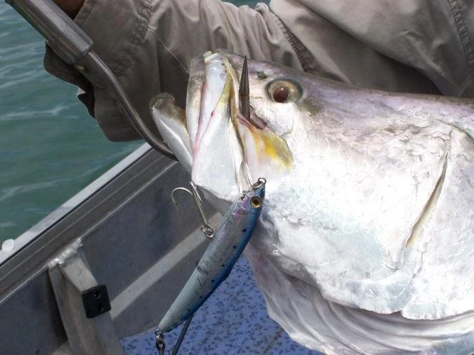 Floating Minnow - Smith - Saruna 125F 4 Floating Minnow - Smith - Saruna 125F - Image 2