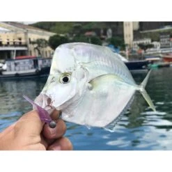 Unrigged Shrimp - Big Ones - Ultra Light Kit -Fishing Gear Sales unrigged shrimp big ones ultra light kit 828259