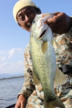 Warm Hook - Decoy - HD Hook Offset Worm 117 -Fishing Gear Sales warm hook decoy hd hook offset worm 117 904351